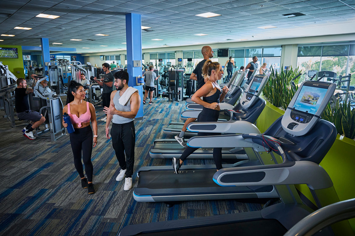 A man and woman walking along the fitness floor near a row of treadmills on the fitness floor