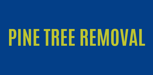 Pine tree removal event tile