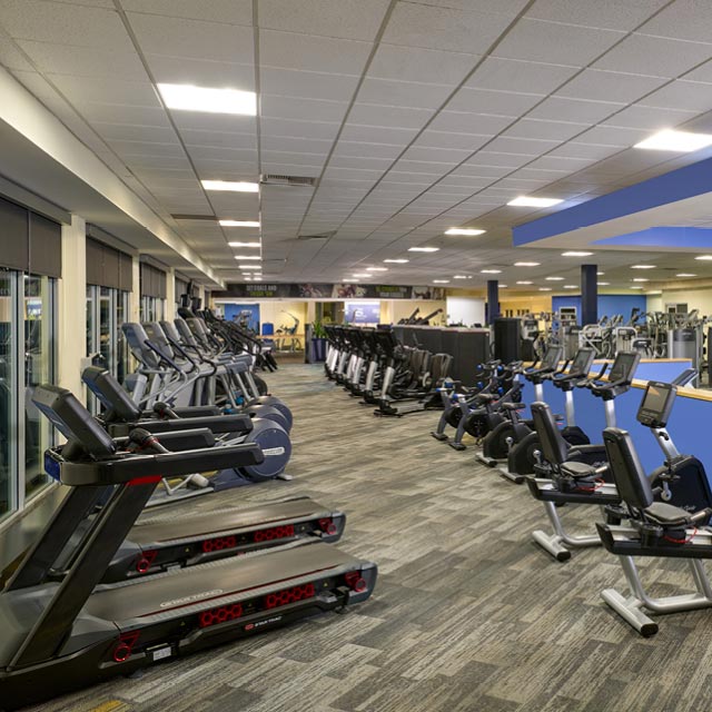 The cardio equipment on the fitness floor